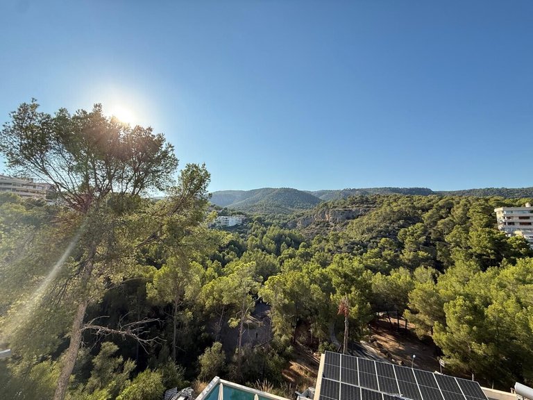 Villa for Long Term Rentals in Genova, Balearic Islands 44