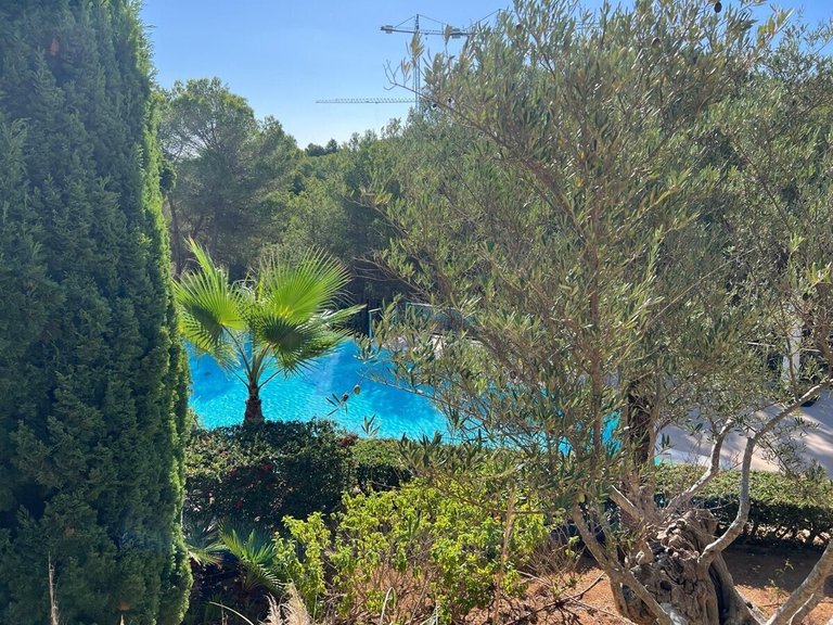 Apartment for Sales in Sol De Mallorca, Balearic Islands 53