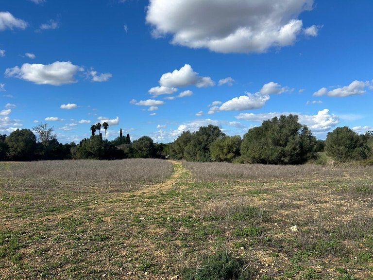 Plot for Sales in Felanitx, Balearic Islands 4