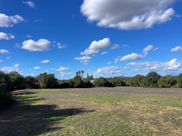 Plot for Sales in Felanitx, Balearic Islands 2