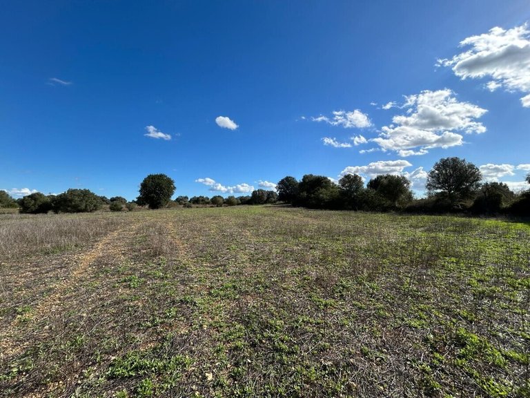 Plot for Sales in Felanitx, Balearic Islands 5