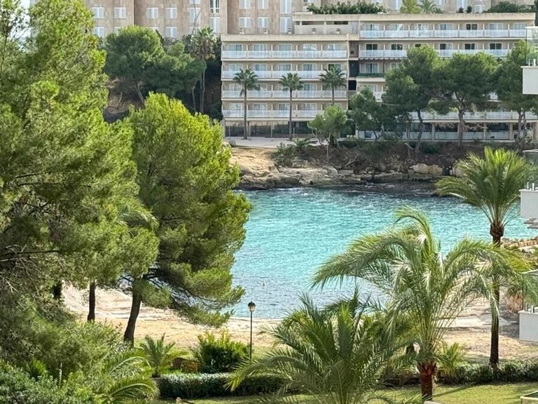 Apartment for Long Term Rentals in Cala Vinyes, Balearic Islands 1
