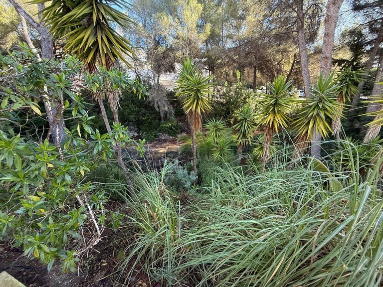 Villa for Sales in Costa De La Calma, Balearic Islands 44