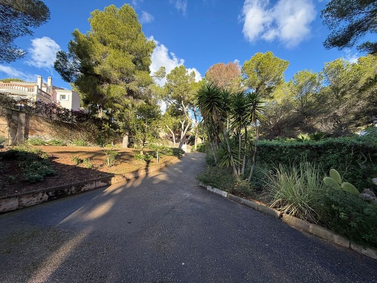 Villa for Sales in Costa De La Calma, Balearic Islands 29
