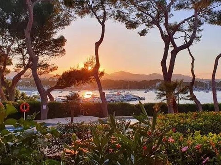 Apartment for Sales in Porto Colom, Balearic Islands 15