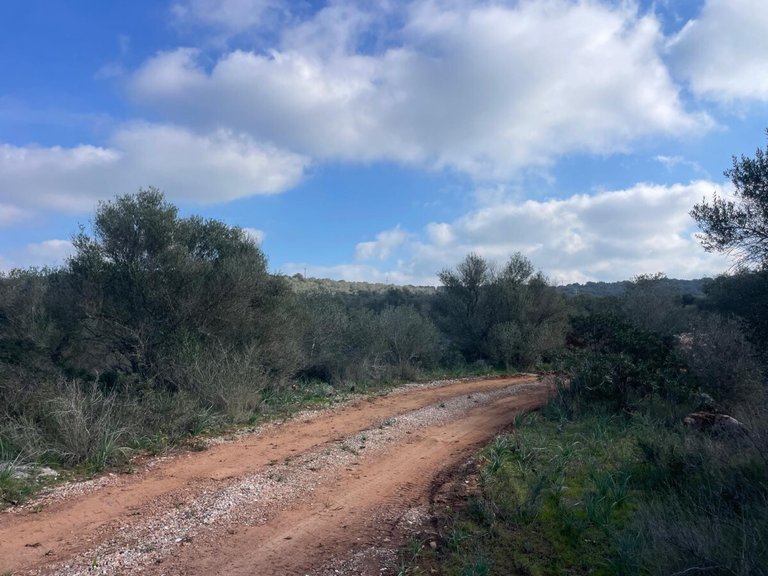 Country House for Sales in Campos, Balearic Islands 23