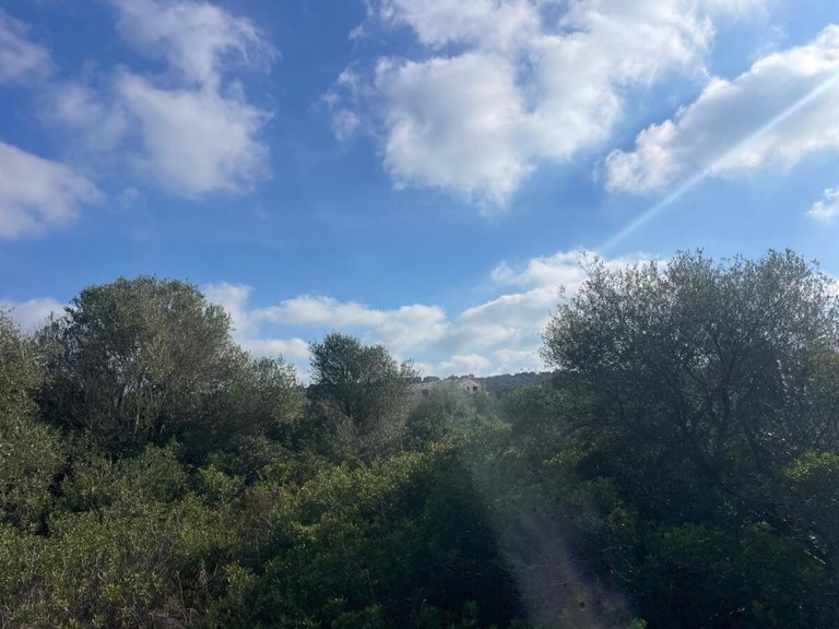 Country House for Sales in Campos, Balearic Islands 24