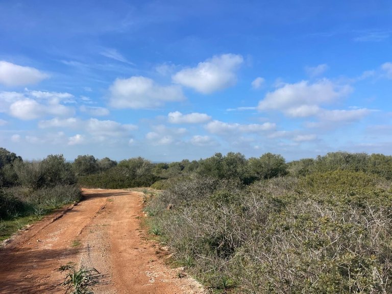 Country House for Sales in Campos, Balearic Islands 22