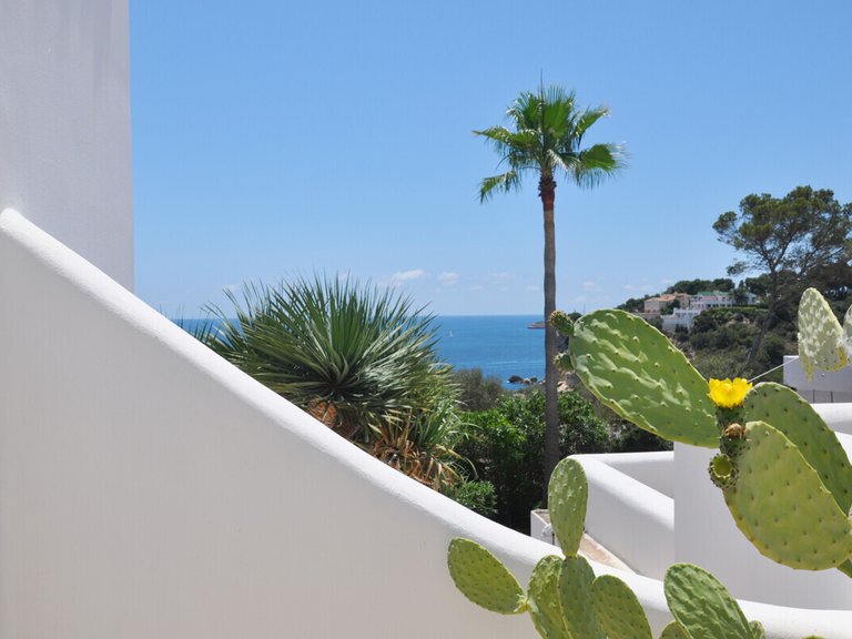 Villa for Sales in Sol De Mallorca, Balearic Islands 12