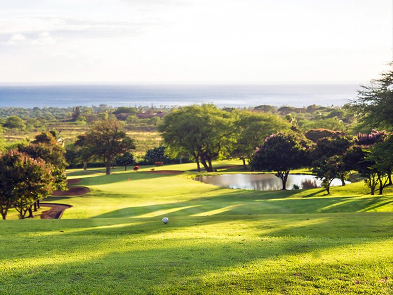 Apartment for Sales in Canyamel, Balearic Islands 19