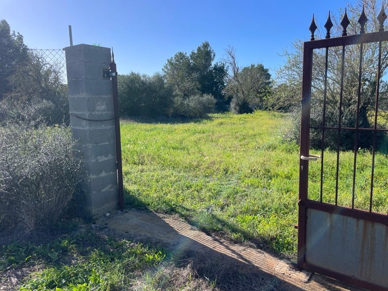 Plot for Sales in Campos, Balearic Islands 4