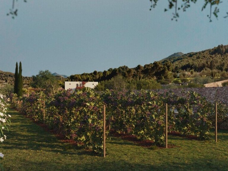 Country House for Sales in Santa Eularia Des Riu, Balearic Islands 15