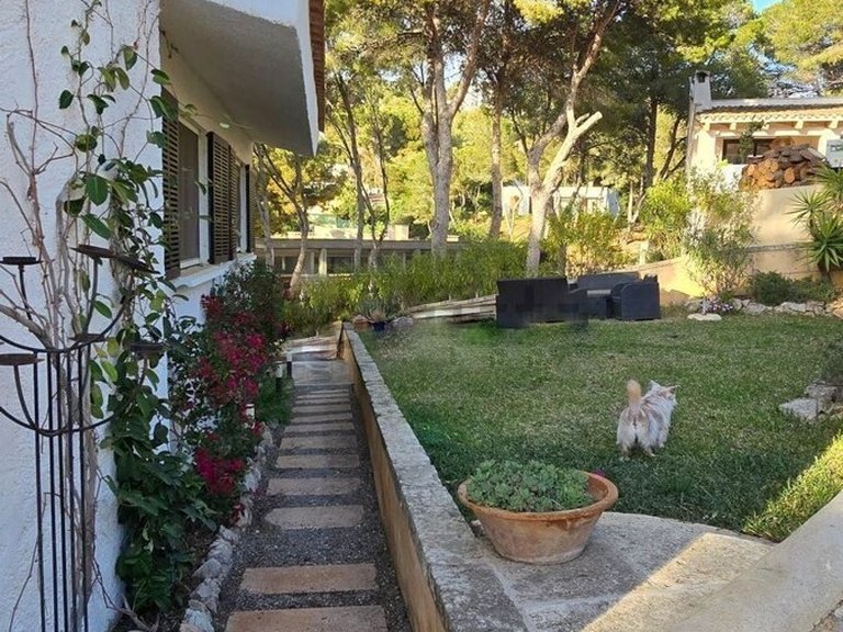 Town House for Long Term Rentals in Santa Ponsa, Balearic Islands 9