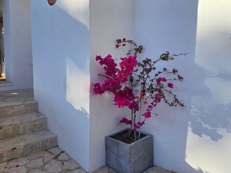 Town House for Long Term Rentals in Santa Ponsa, Balearic Islands 4