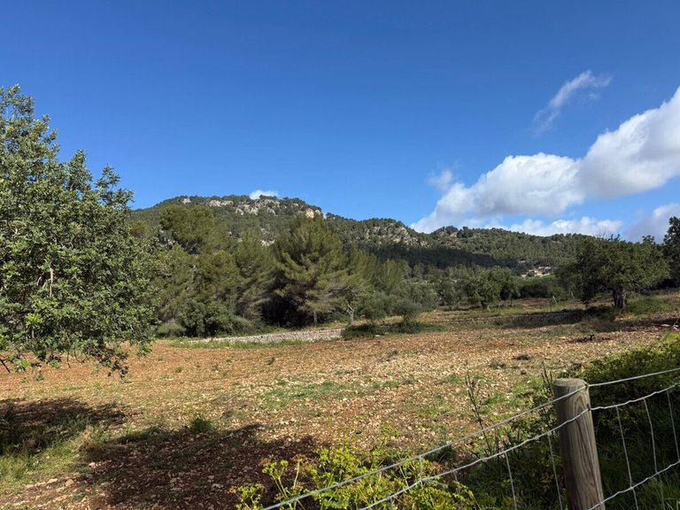 Villa for Sales in Es Capdella, Balearic Islands 46