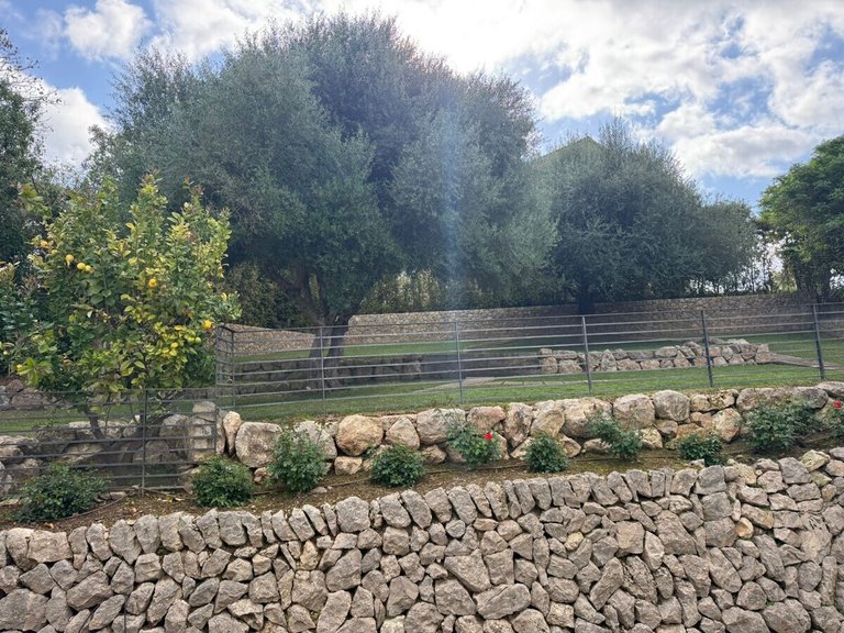 Villa for Sales in Es Capdella, Balearic Islands 32