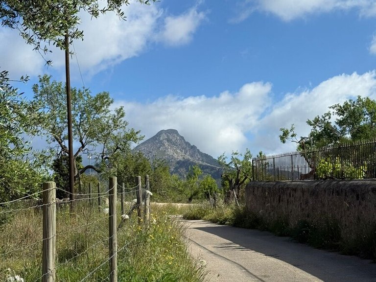 Villa for Sales in Es Capdella, Balearic Islands 48