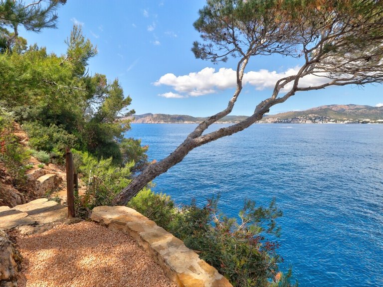 Villa for Sales in Santa Ponsa, Balearic Islands 29