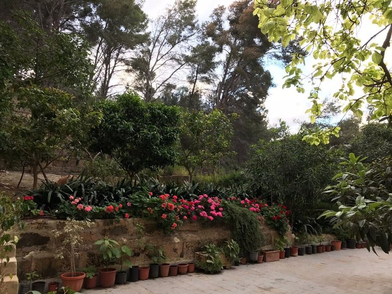 Apartment for Sales in Cala Mayor, Balearic Islands 22