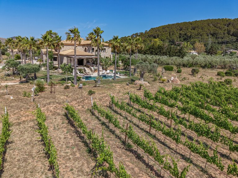 Country House for Sales in Port Pollenca, Balearic Islands 68