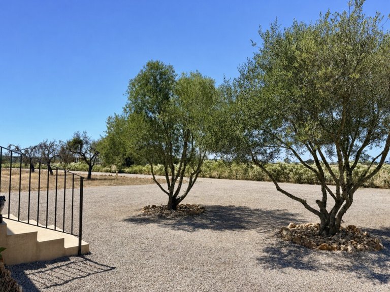 Country House for Sales in Campos, Balearic Islands 30