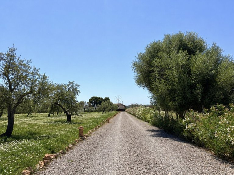 Country House for Sales in Campos, Balearic Islands 34