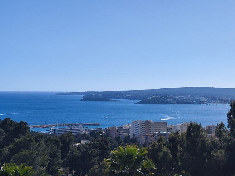Villa for Sales in Portals Nous, Balearic Islands 1
