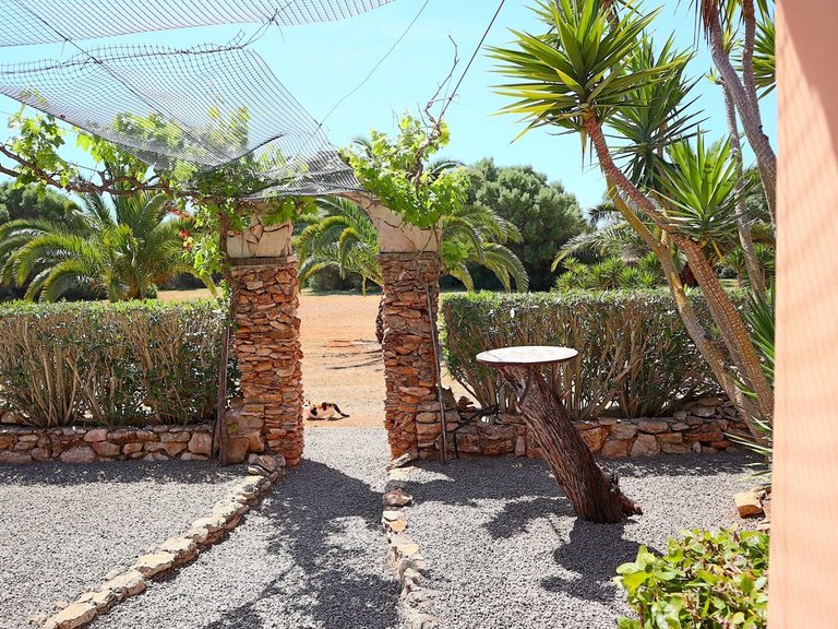 Country House for Sales in Santanyí, Balearic Islands 12