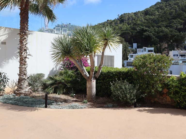 Villa for Sales in Port D'andratx, Balearic Islands 48
