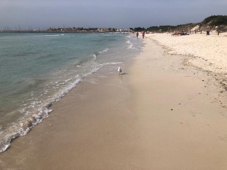 Apartment for Sales in Sa Rapita, Balearic Islands 32