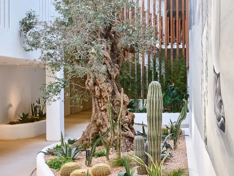 Apartment for Sales in Ibiza, Balearic Islands 5