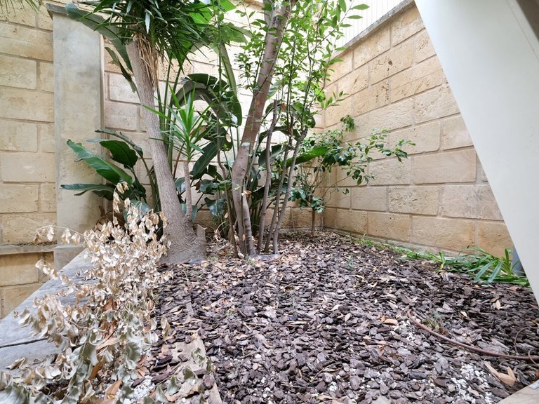 Apartment for Sales in Portals Nous, Balearic Islands 11