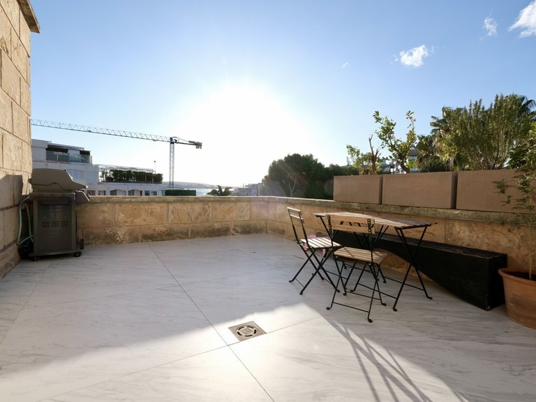 Apartment for Sales in Portals Nous, Balearic Islands 5