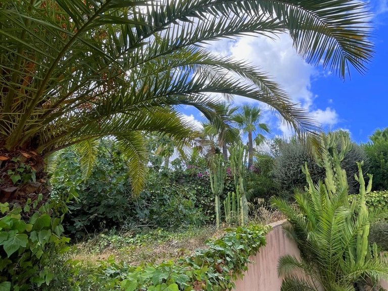 Apartment for Sales in Peguera, Balearic Islands 9