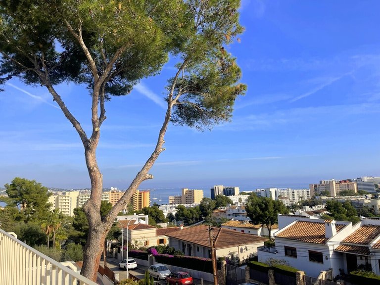 Villa for Long Term Rentals in Palmanova, Balearic Islands 23