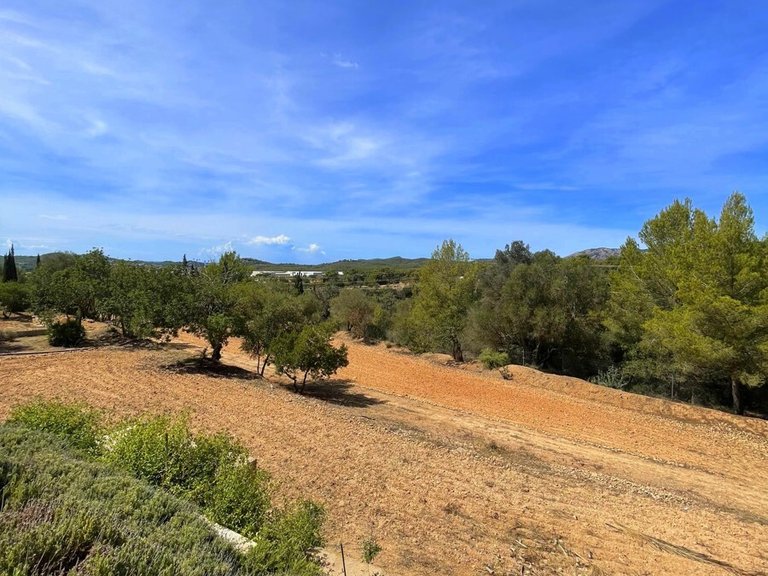 Country House for Sales in Calvia, Balearic Islands 36