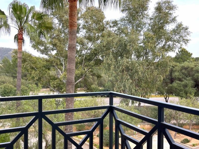 Apartment for Sales in Santa Ponsa, Balearic Islands 13