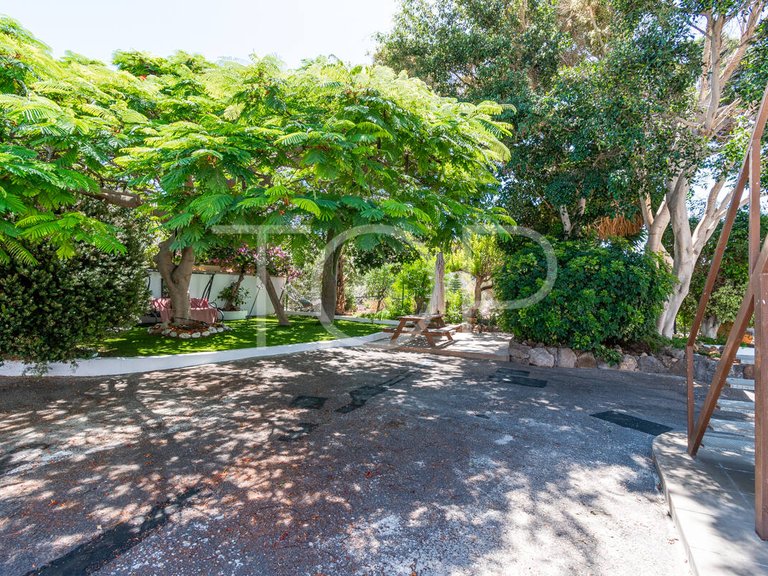 Country House for Sale in Guía De Isora, Tenerife 40