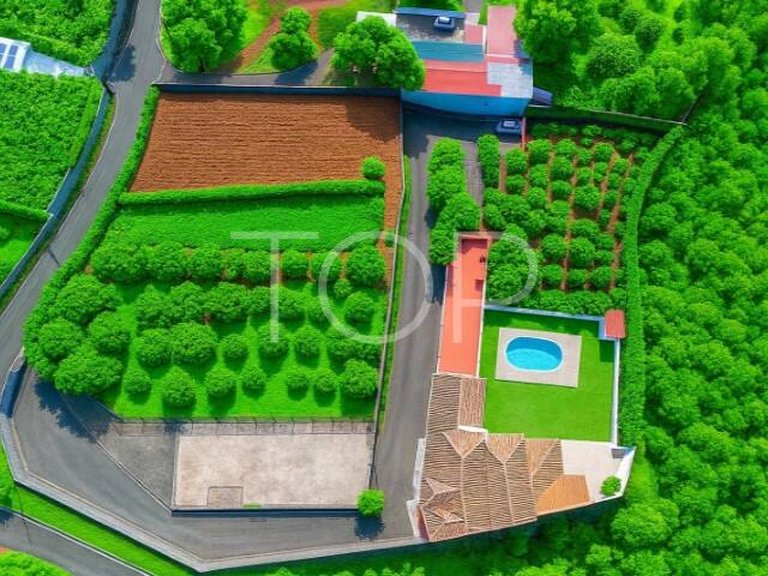 Country House for Sale in La Esperanza, Tenerife 11