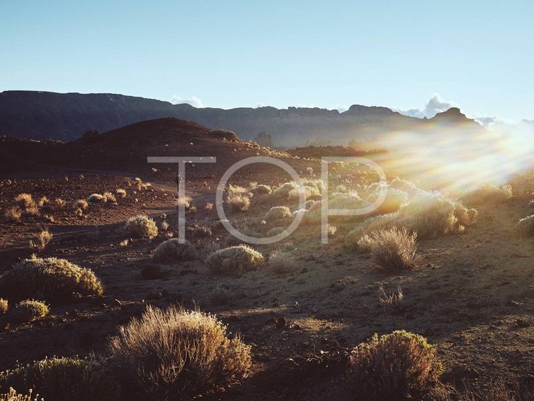 Apartment for Sale in El Puertito, Tenerife 15