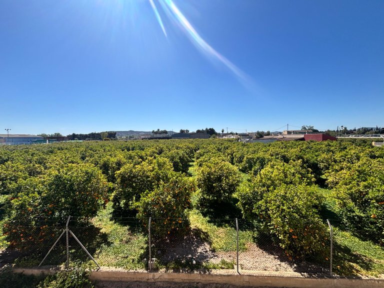 Apartment for Sale in Benejuzar - Town, Benejúzar, Alicante 13