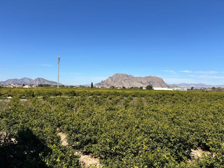 Apartment for Sale in Benejuzar - Town, Benejúzar, Alicante 12