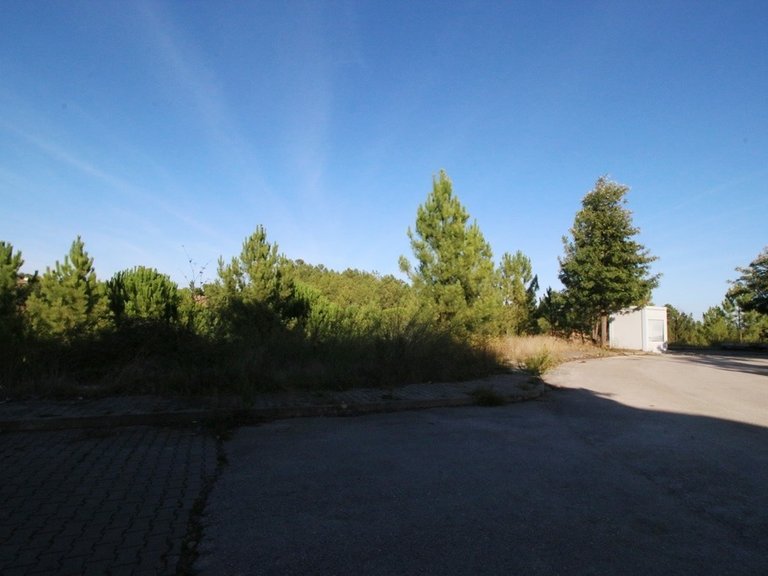 Plot for Sale in Abrantes (são Vicente E São João) E Alferrarede, Santarém 4