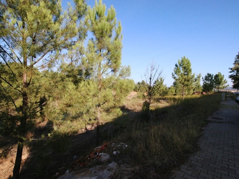Plot for Sale in Abrantes (são Vicente E São João) E Alferrarede, Santarém 5