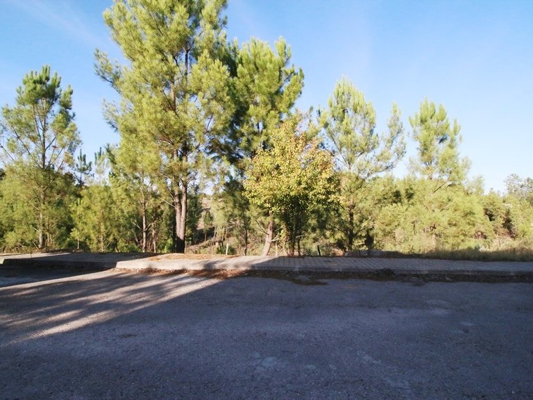 Plot for Sale in Abrantes (são Vicente E São João) E Alferrarede, Santarém 7