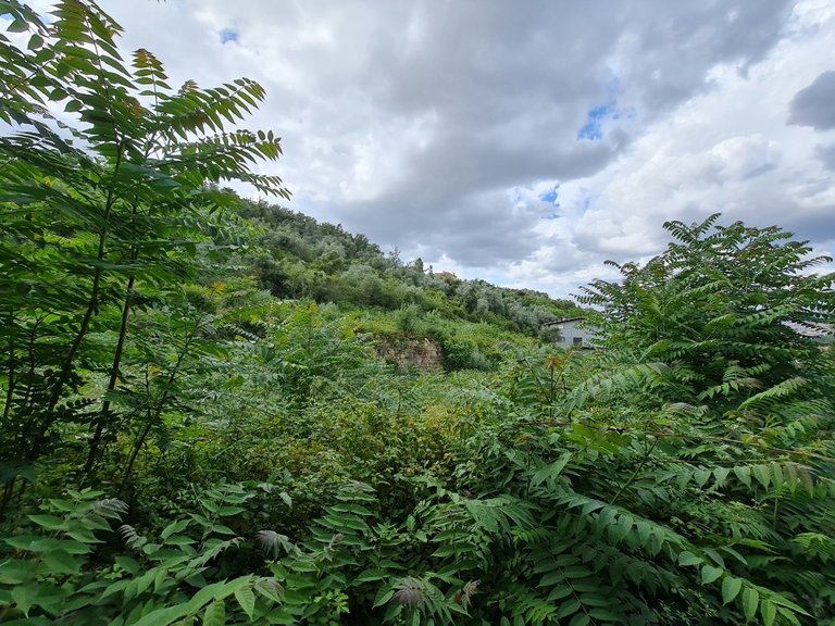 Plot for Sale in Santa Clara E Castelo Viegas, Beira Litoral 6
