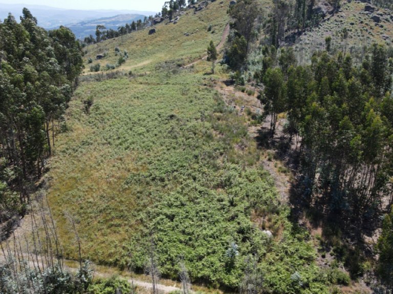 Plot for Sale in Abragão, Porto 3