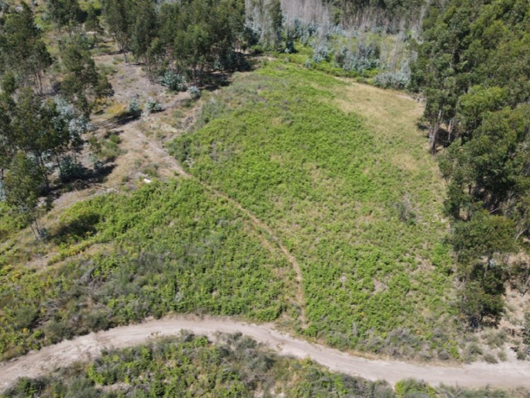 Plot for Sale in Abragão, Porto 6