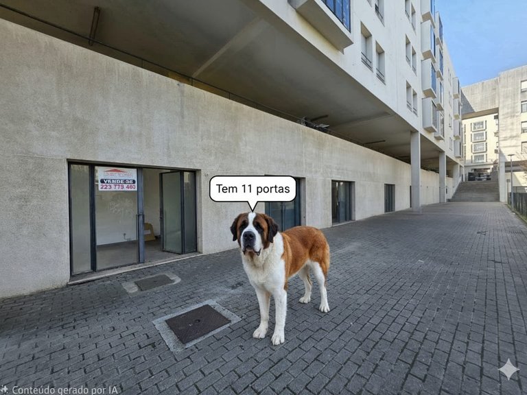 Commercial for Sale in Campanhã, Porto 22