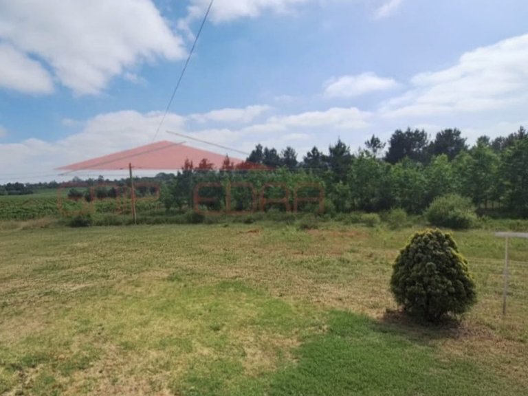Plot for Sale in São Lourenço Do Bairro, Aveiro 4